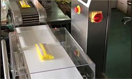 袋装面条在线称重应用案例