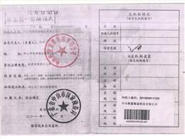 【大红鹰dhy技术】一般纳税人登记证