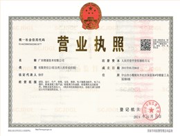 【大红鹰dhy技术】营业执照