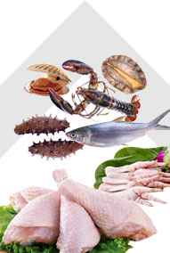 大红鹰dhy_大红鹰dhy(中国)有限公司